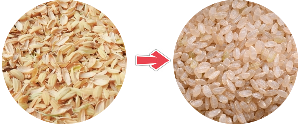 玄米のもみ殻